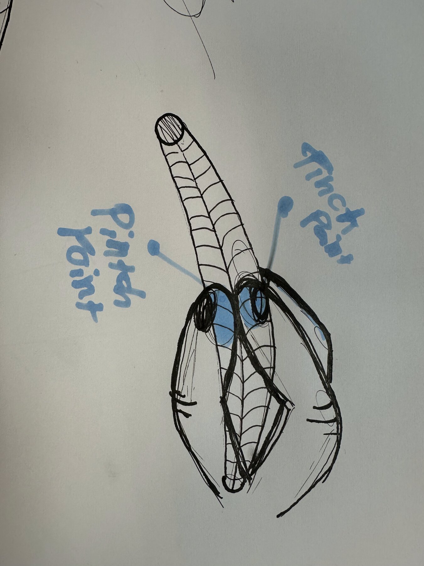 Sketch of a hand gripping a Fiskars precision knife at the pinch point